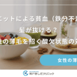 ダイエットによる貧血（鉄分不足）で髪が抜ける？女性の薄毛を招く酸欠状態の対策
