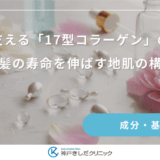 毛包を支える「17型コラーゲン」の重要性｜女性の髪の寿命を伸ばす地肌の構造ケア