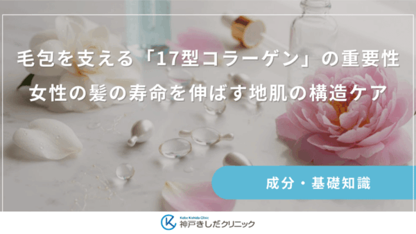 毛包を支える「17型コラーゲン」の重要性｜女性の髪の寿命を伸ばす地肌の構造ケア