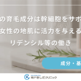 次世代の育毛成分は幹細胞をサポート！女性の地肌に活力を与えるリデンシル等の働き