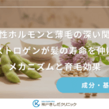女性ホルモンと薄毛の深い関係｜エストロゲンが髪の寿命を伸ばすメカニズムと育毛効果
