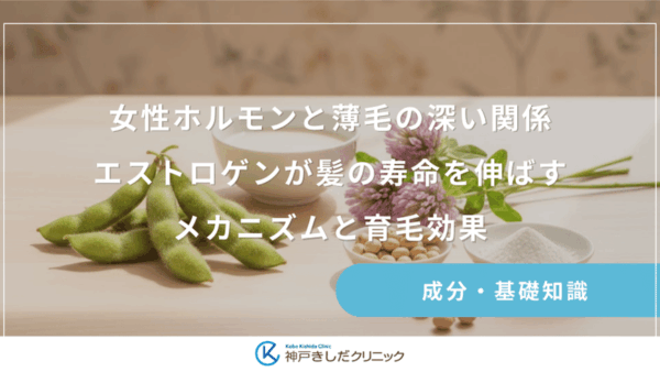 女性ホルモンと薄毛の深い関係｜エストロゲンが髪の寿命を伸ばすメカニズムと育毛効果