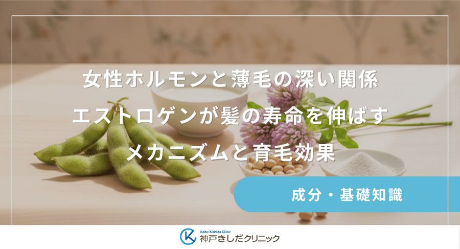 女性ホルモンと薄毛の深い関係|エストロゲンが髪の寿命を伸ばすメカニズムと育毛効果