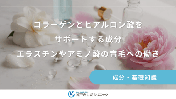 コラーゲンとヒアルロン酸をサポートする成分｜エラスチンやアミノ酸の育毛への働き