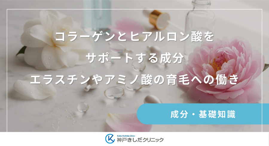 コラーゲンとヒアルロン酸をサポートする成分｜エラスチンやアミノ酸の育毛への働き