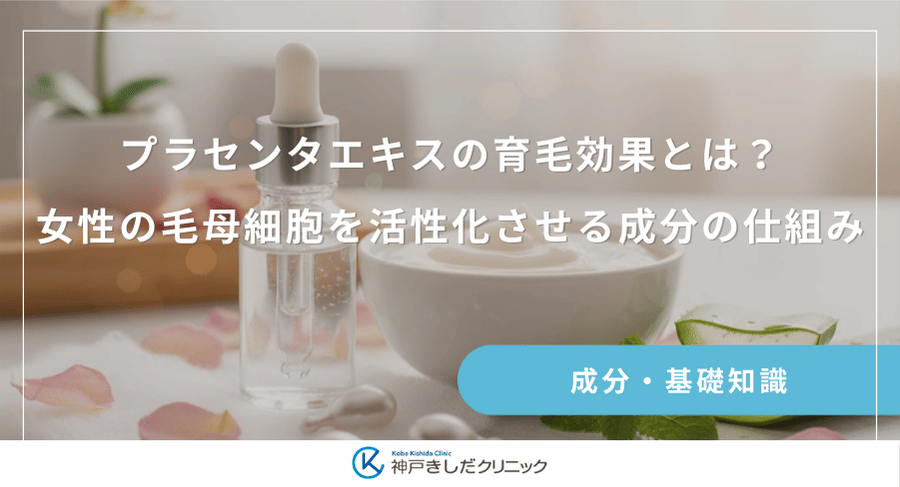 プラセンタエキスの育毛効果とは?女性の毛母細胞を活性化させる成分の仕組み