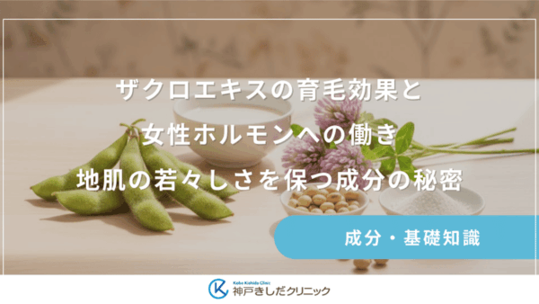 ザクロエキスの育毛効果と女性ホルモンへの働き｜地肌の若々しさを保つ成分の秘密
