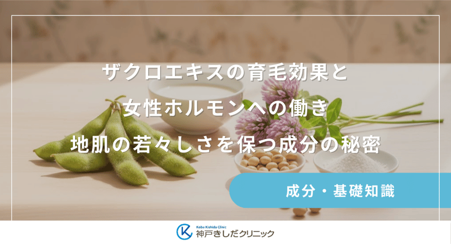 ザクロエキスの育毛効果と女性ホルモンへの働き|地肌の若々しさを保つ成分の秘密