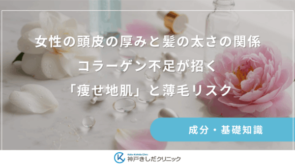 女性の頭皮の厚みと髪の太さの関係｜コラーゲン不足が招く「痩せ地肌」と薄毛リスク