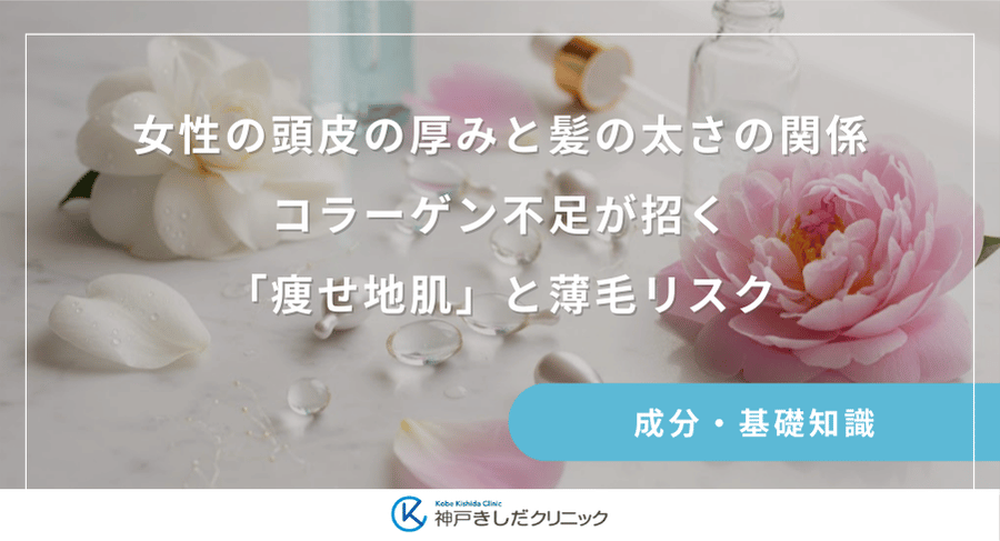 女性の頭皮の厚みと髪の太さの関係｜コラーゲン不足が招く「痩せ地肌」と薄毛リスク