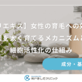 【センブリエキス】女性の育毛への効果とは？髪を太く育てるメカニズムと細胞活性化の仕組み