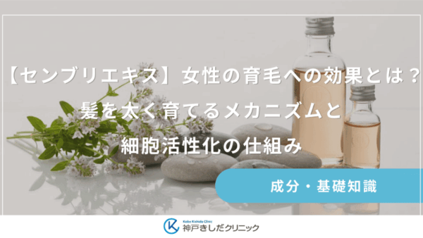 【センブリエキス】女性の育毛への効果とは？髪を太く育てるメカニズムと細胞活性化の仕組み