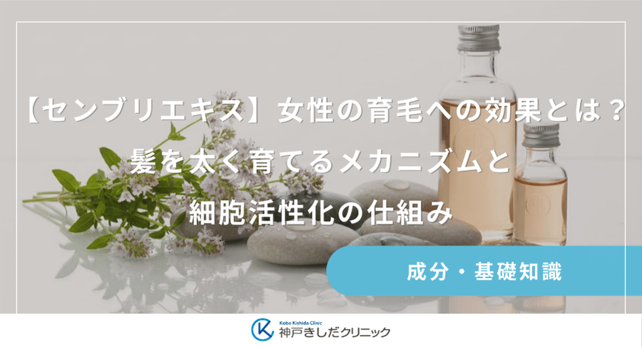 【センブリエキス】女性の育毛への効果とは?髪を太く育てるメカニズムと細胞活性化の仕組み