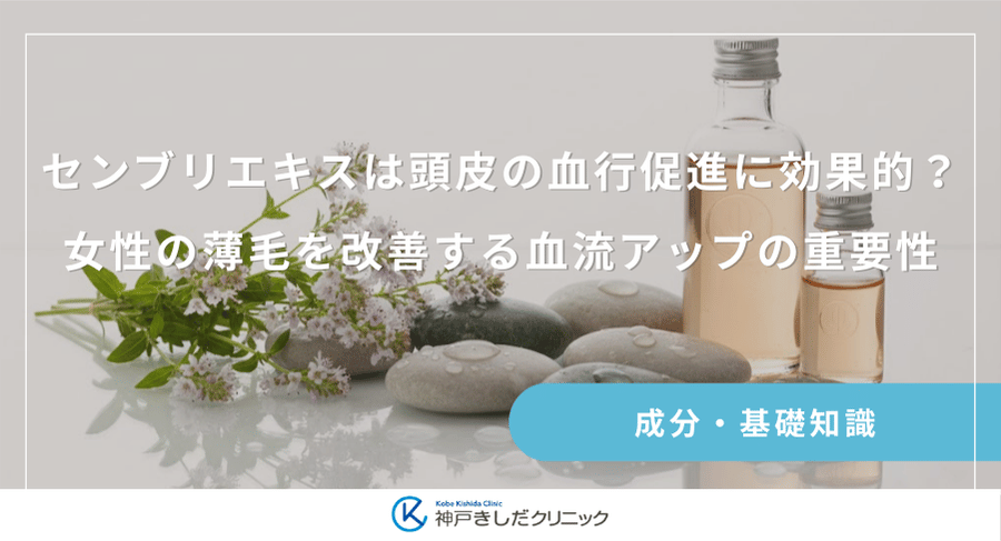 センブリエキスは頭皮の血行促進に効果的？女性の薄毛を改善する血流アップの重要性