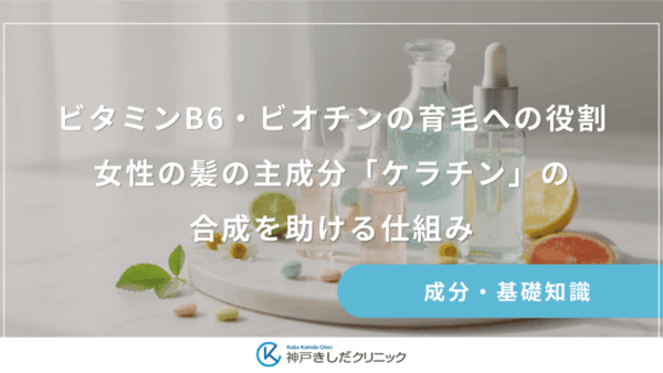 ビタミンB6・ビオチンの育毛への役割｜女性の髪の主成分「ケラチン」の合成を助ける仕組み