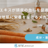 ニンジンエキスが頭皮の血行を促進させる？女性の地肌に栄養を届けるメカニズム