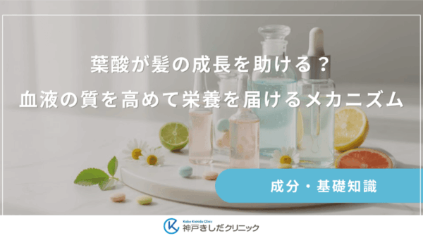葉酸が髪の成長を助ける？血液の質を高めて栄養を届けるメカニズム