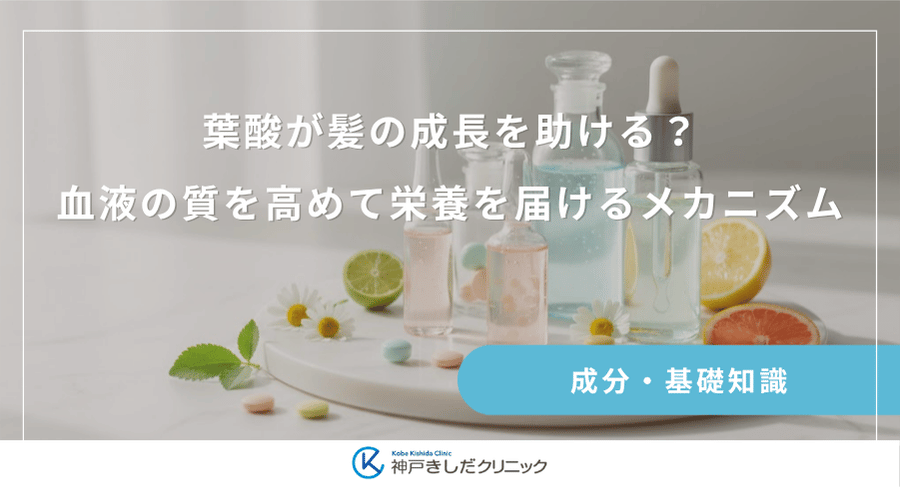 葉酸が髪の成長を助ける？血液の質を高めて栄養を届けるメカニズム