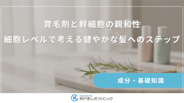 育毛剤と幹細胞の親和性｜細胞レベルで考える健やかな髪へのステップ