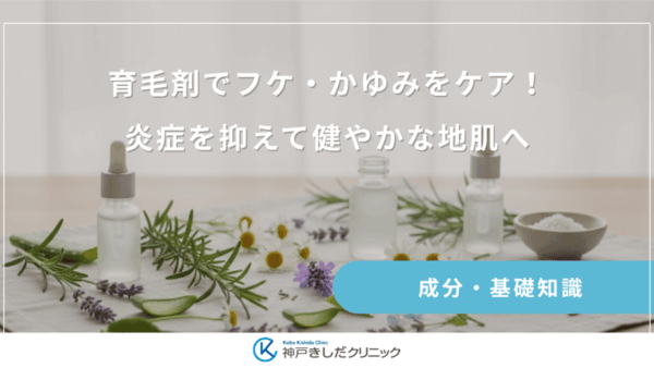 育毛剤でフケ・かゆみをケア！炎症を抑えて健やかな地肌へ