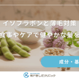 イソフラボンと薄毛対策｜毎日の食事やケアで健やかな髪を育てる