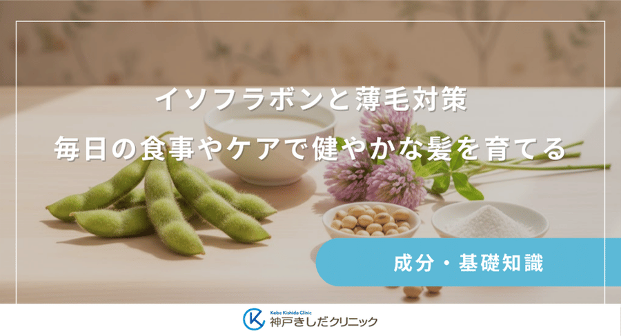 イソフラボンと薄毛対策｜毎日の食事やケアで健やかな髪を育てる
