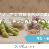イソフラボンの薄毛への効果とは｜女性ホルモンに近い働きを解説
