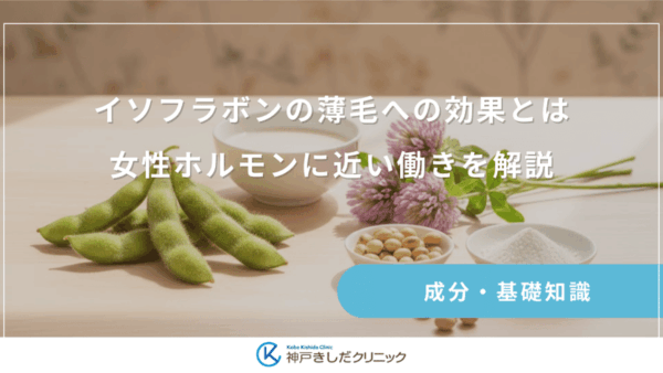 イソフラボンの薄毛への効果とは｜女性ホルモンに近い働きを解説