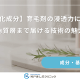 【ナノ化成分】育毛剤の浸透力に注目！角質層まで届ける技術の魅力