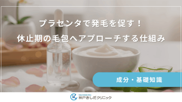 プラセンタで発毛を促す！休止期の毛包へアプローチする仕組み