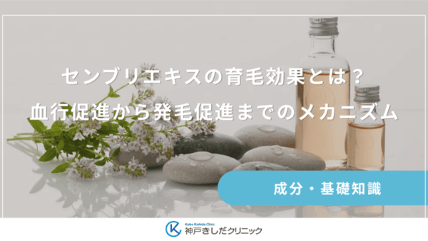 センブリエキスの育毛効果とは?血行促進から発毛促進までのメカニズム