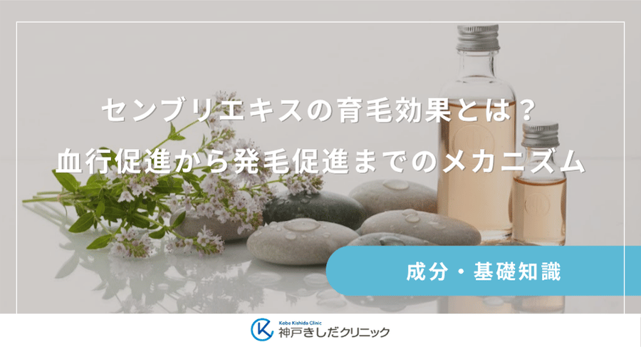 センブリエキスの育毛効果とは?血行促進から発毛促進までのメカニズム
