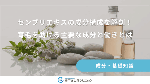 センブリエキスの成分構成を解剖！育毛を助ける主要な成分と働きとは