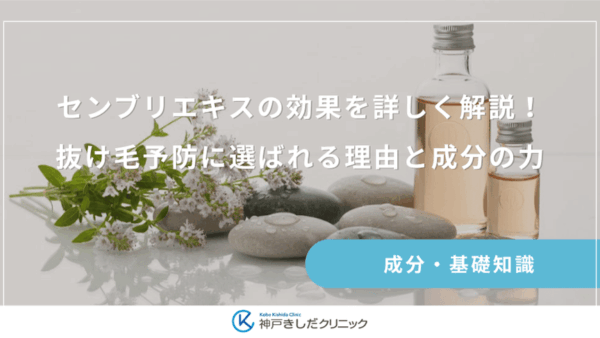 センブリエキスの効果を詳しく解説！抜け毛予防に選ばれる理由と成分の力
