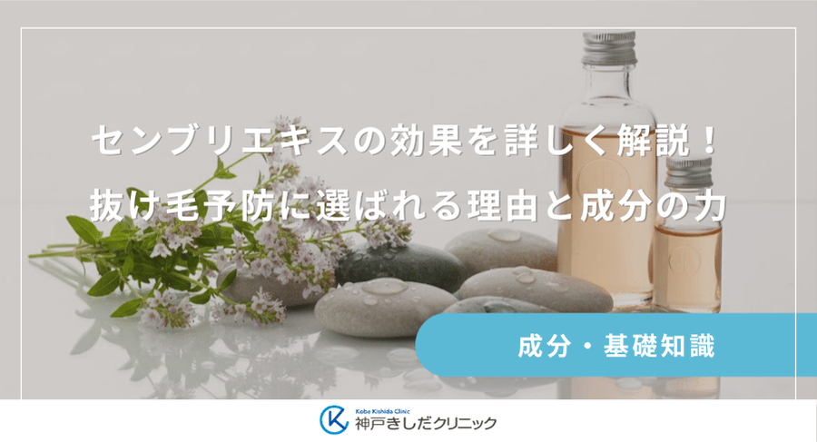 センブリエキスの効果を詳しく解説！抜け毛予防に選ばれる理由と成分の力