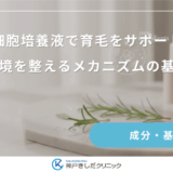 幹細胞培養液で育毛をサポート！頭皮環境を整えるメカニズムの基礎知識