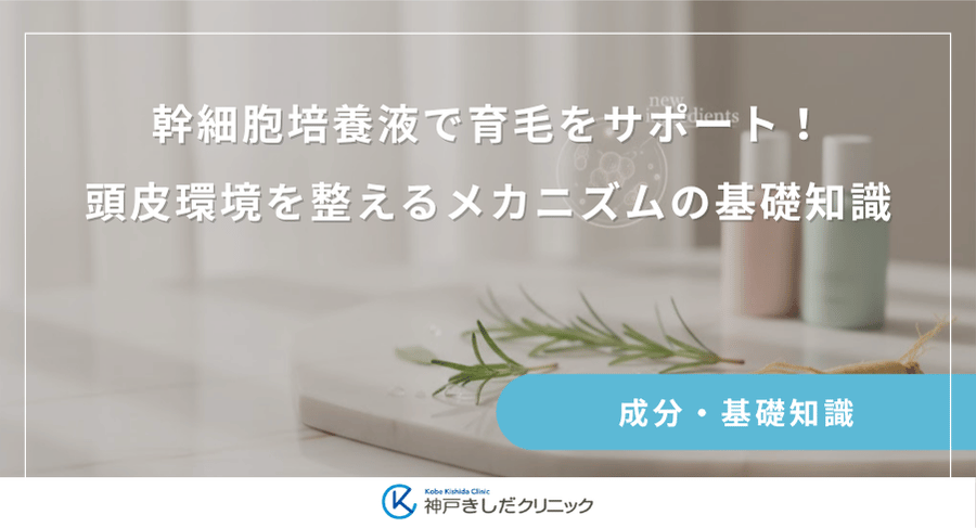 幹細胞培養液で育毛をサポート!頭皮環境を整えるメカニズムの基礎知識