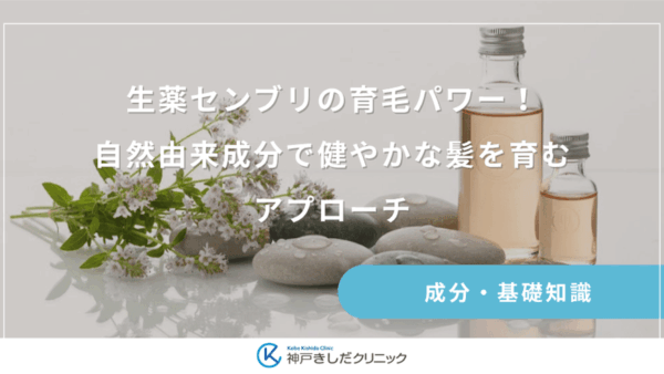 生薬センブリの育毛パワー!自然由来成分で健やかな髪を育むアプローチ