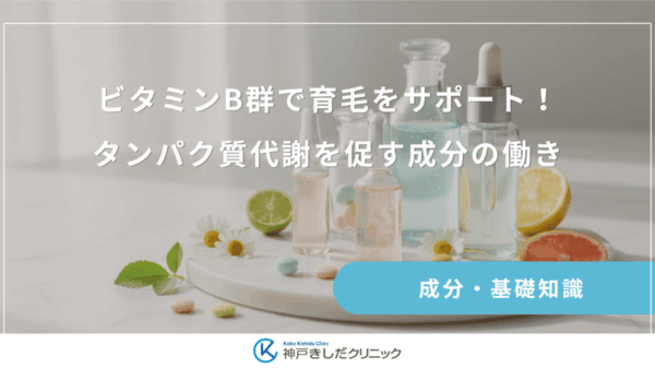 ビタミンB群で育毛をサポート!タンパク質代謝を促す成分の働き