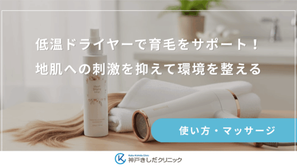 低温ドライヤーで育毛をサポート！地肌への刺激を抑えて環境を整える