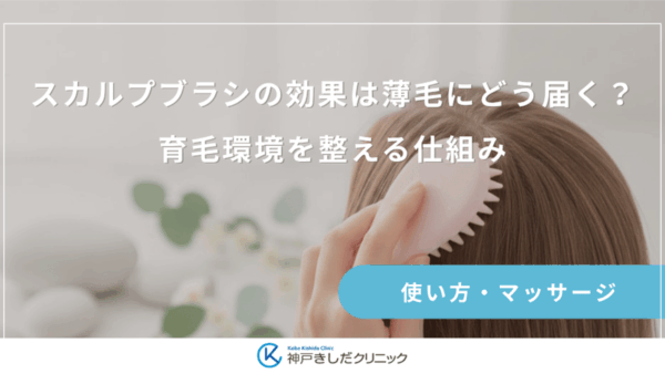 スカルプブラシの効果は薄毛にどう届く？育毛環境を整える仕組み