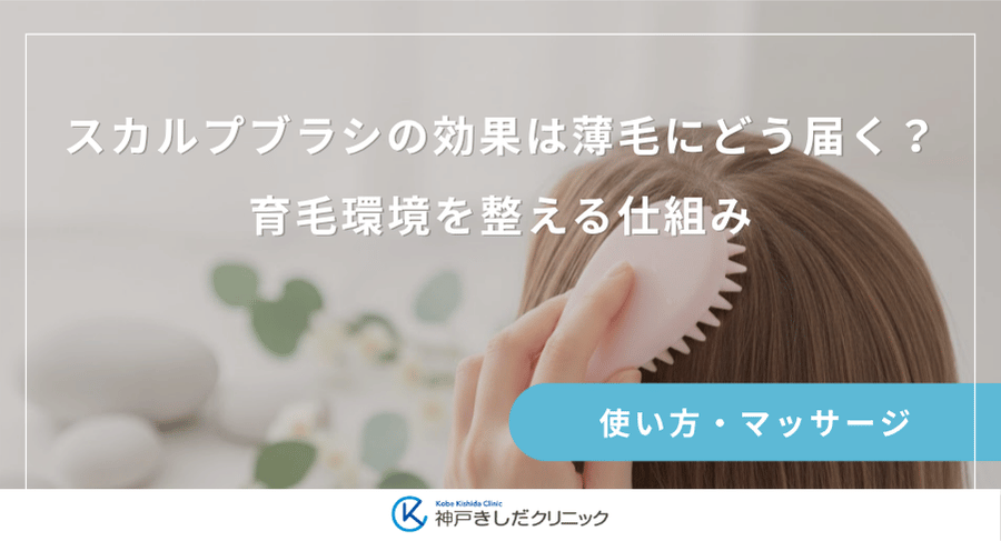スカルプブラシの効果は薄毛にどう届く？育毛環境を整える仕組み