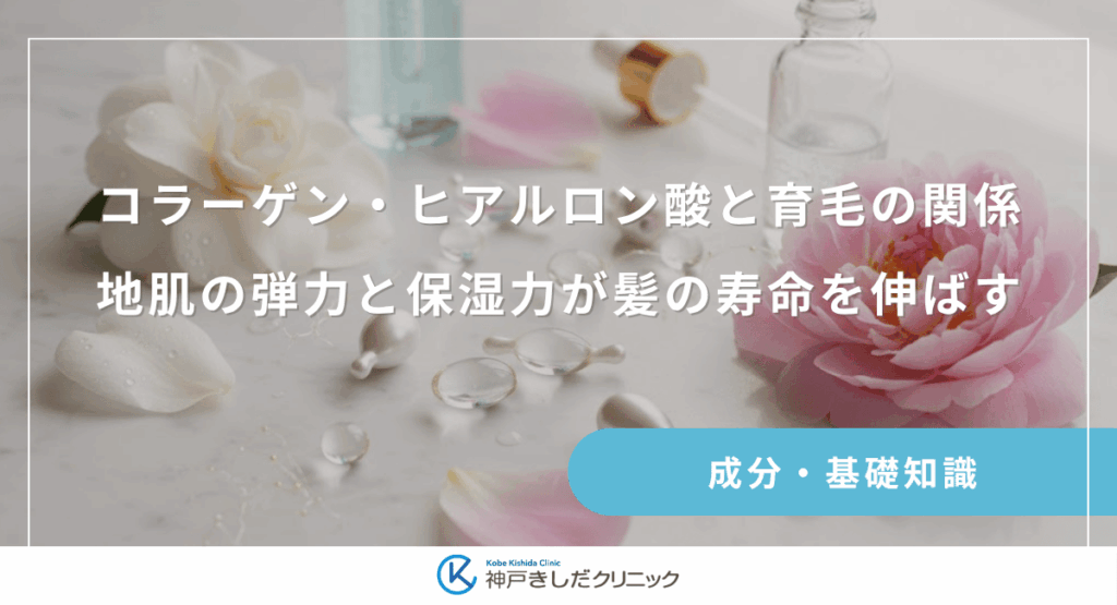 コラーゲン・ヒアルロン酸と育毛の関係｜地肌の弾力と保湿力が髪の寿命を伸ばす