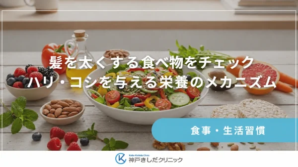 髪を太くする食べ物をチェック｜ハリ・コシを与える栄養のメカニズム