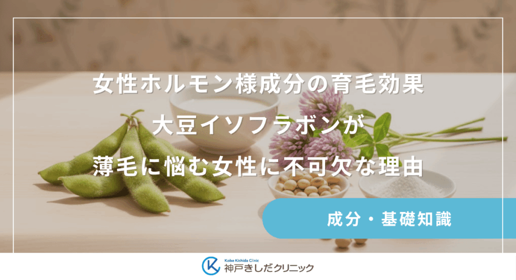 女性ホルモン様成分の育毛効果｜大豆イソフラボンが薄毛に悩む女性に不可欠な理由