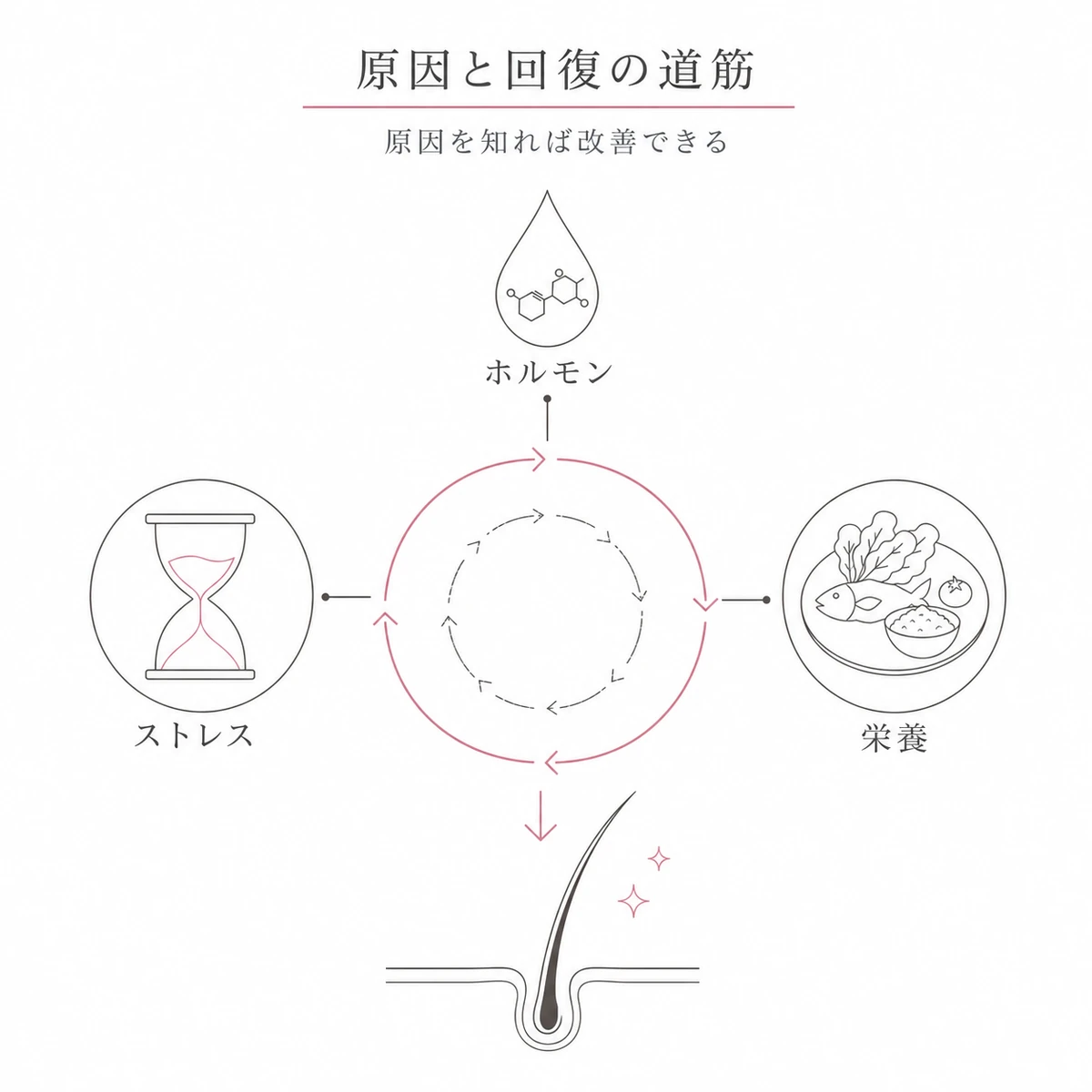 複数の原因がヘアサイクルを乱すことと見直しで回復に向かう道筋を表した線画イラスト