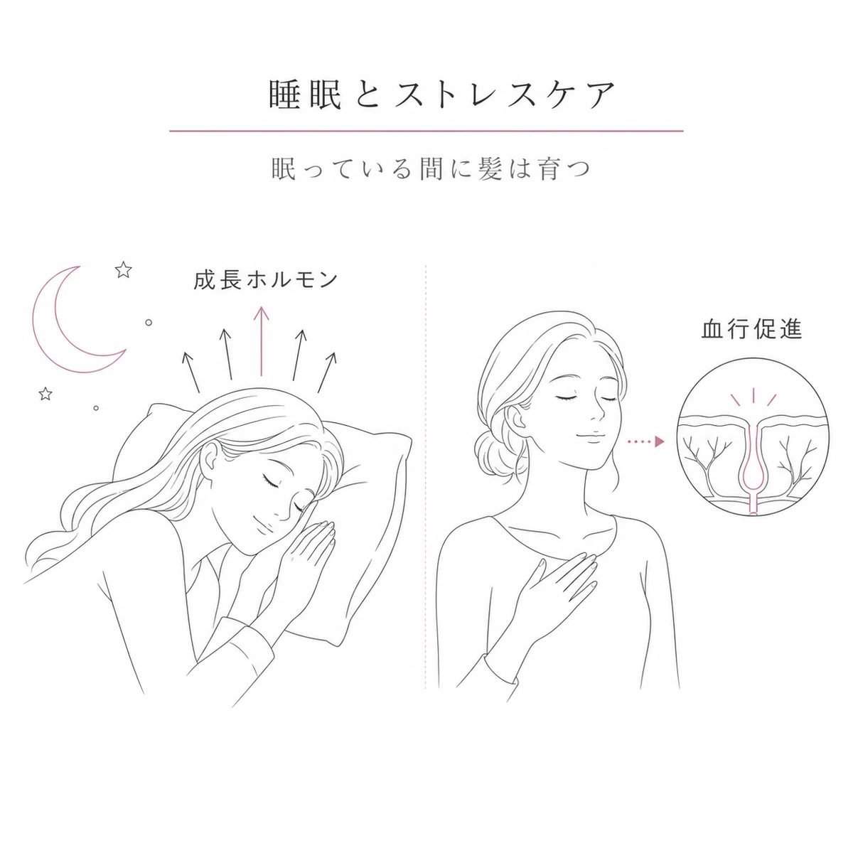 深い睡眠中の成長ホルモン分泌とリラックスによる血行促進が髪を支えることを表した線画イラスト