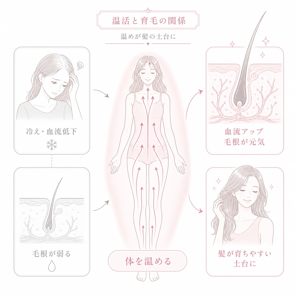 体を温めることで血流が高まり頭皮の毛根が元気になる温活と育毛の関係を表した線画イラスト