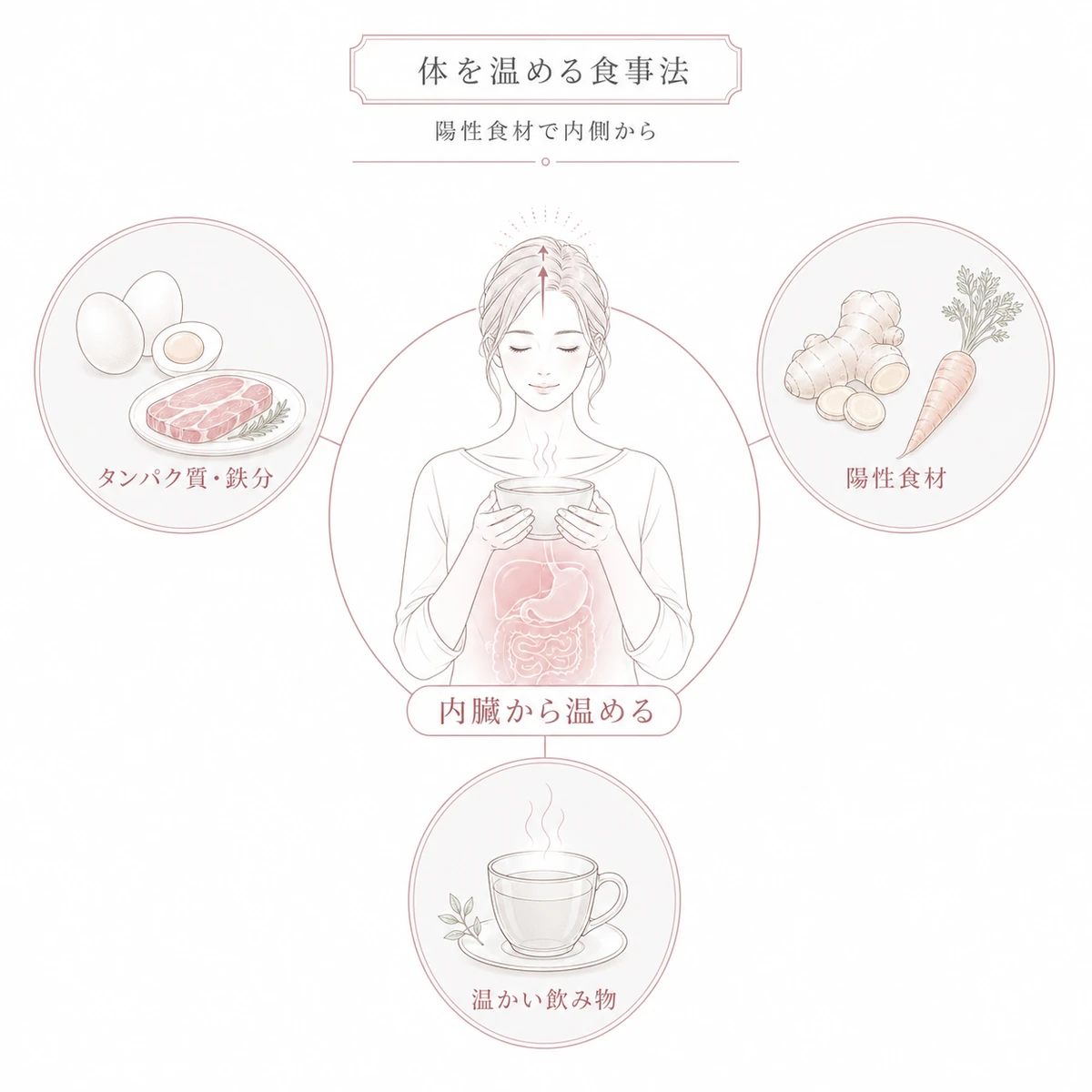 タンパク質や鉄分と陽性食材と温かい飲み物で内側から体を温める食事法を表した線画イラスト