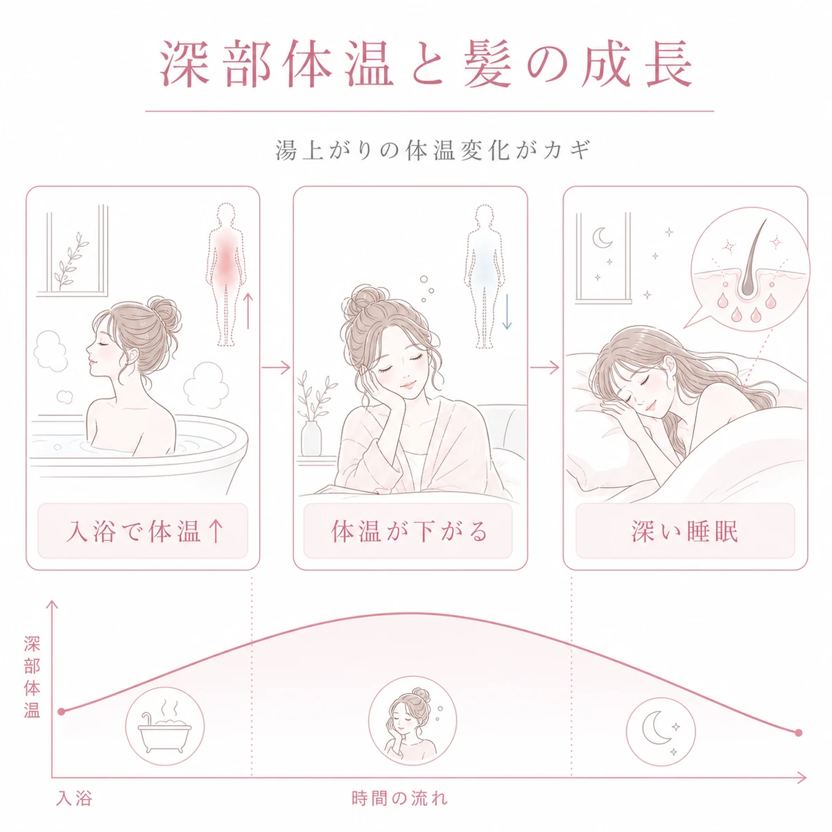 入浴で上げた深部体温が下がる落差が深い睡眠と成長ホルモンを導く流れを表した線画イラスト